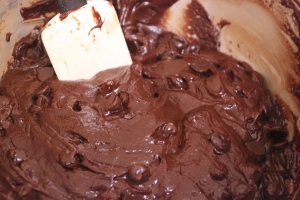 Nutella Chocolate Chip Brownies | longdistancebaking.com
